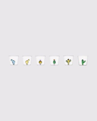 Desert Plants tumbler set